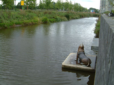 Natte Hond